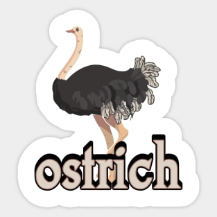 ostrich tshirt design Sticker